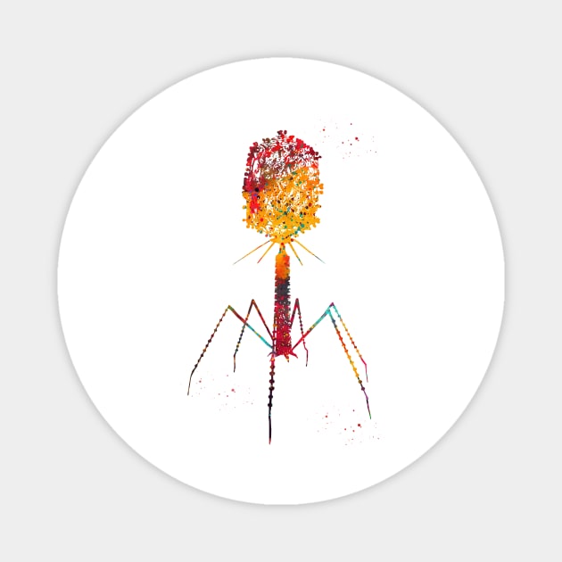 Bacteriophage Magnet by erzebeth